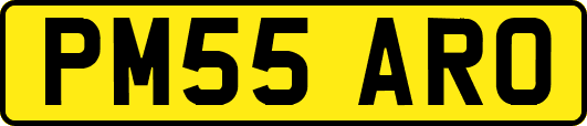 PM55ARO