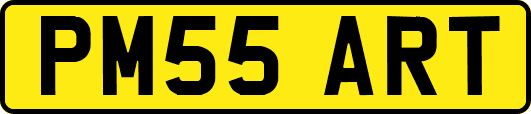 PM55ART