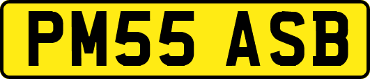 PM55ASB