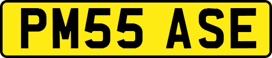 PM55ASE