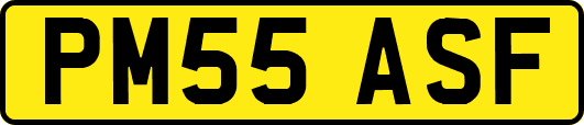 PM55ASF