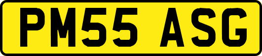 PM55ASG