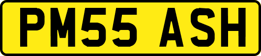 PM55ASH