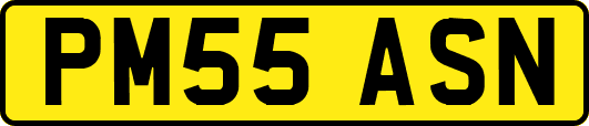 PM55ASN