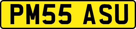 PM55ASU