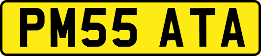 PM55ATA