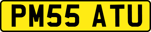PM55ATU