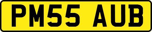 PM55AUB