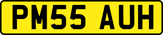 PM55AUH