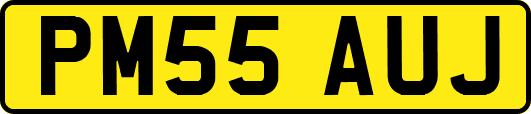 PM55AUJ