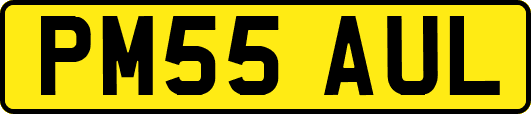 PM55AUL