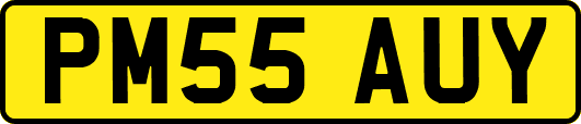 PM55AUY