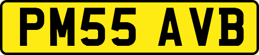 PM55AVB
