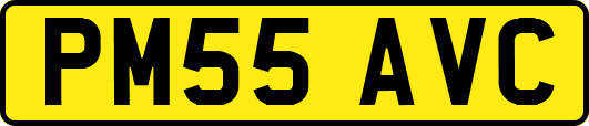 PM55AVC