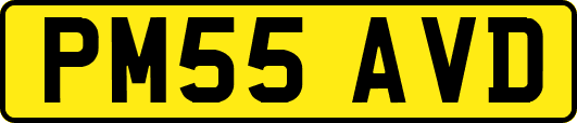 PM55AVD