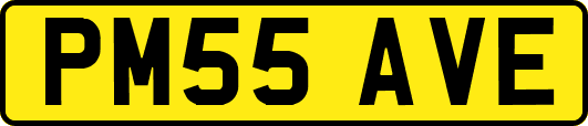 PM55AVE