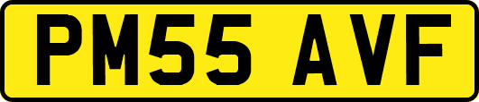 PM55AVF