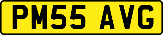 PM55AVG