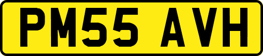PM55AVH