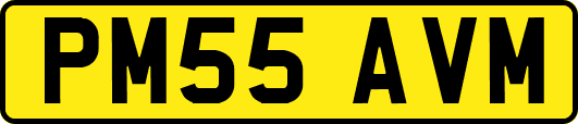 PM55AVM