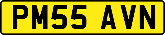 PM55AVN