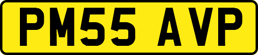 PM55AVP