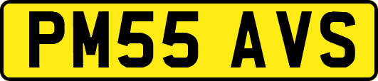 PM55AVS
