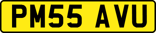 PM55AVU