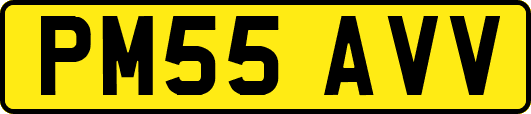 PM55AVV
