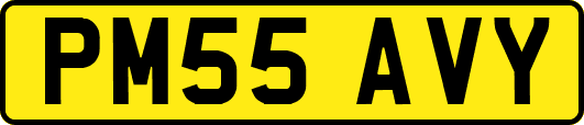 PM55AVY