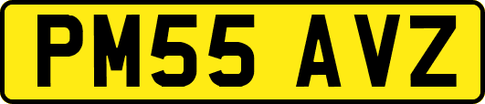 PM55AVZ