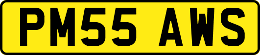 PM55AWS