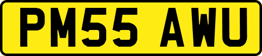 PM55AWU