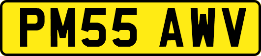 PM55AWV