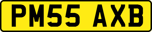 PM55AXB