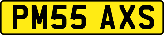PM55AXS