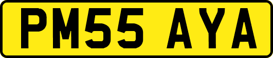 PM55AYA