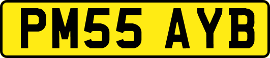 PM55AYB
