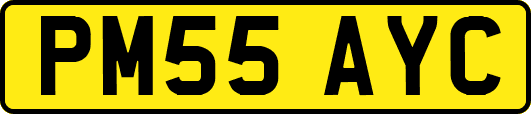 PM55AYC