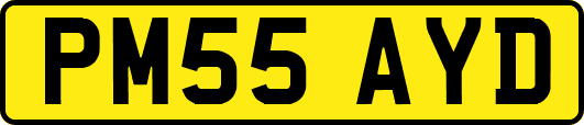 PM55AYD