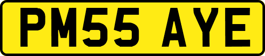 PM55AYE