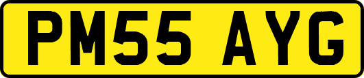 PM55AYG