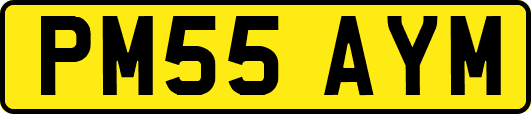 PM55AYM