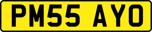 PM55AYO