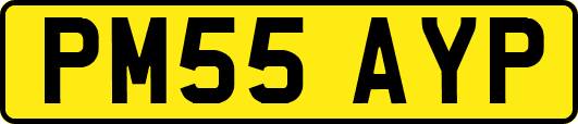 PM55AYP