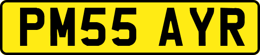 PM55AYR