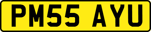 PM55AYU