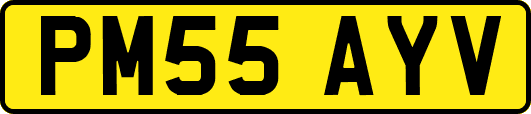 PM55AYV
