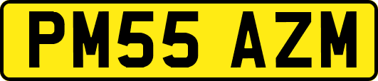 PM55AZM