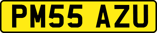 PM55AZU